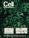 Cell
